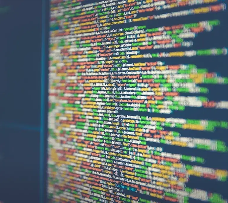 Software Security Company Case Study